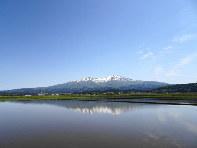 ２０２２年ＧＷいかがお過ごしでしたか？
